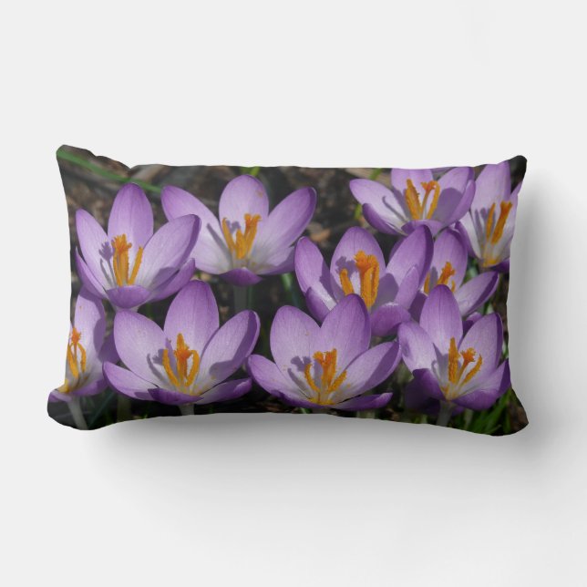 Coussin Rectangle Crocus violets ensoleillés (Recto)