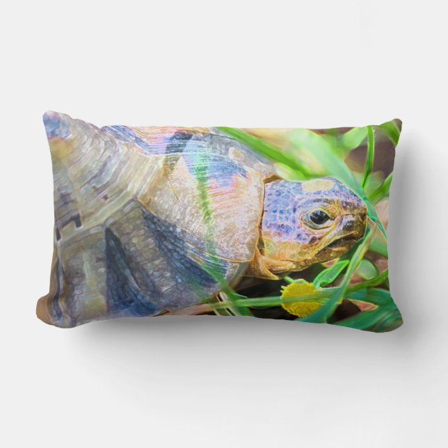 Coussin Rectangle Cute Angulate Tortoise Afrique du Sud Détails (Recto)