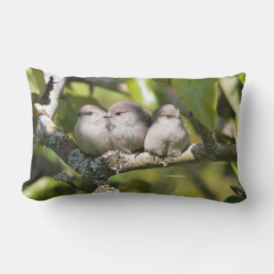 Coussin Rectangle Cute Baby Bushtit Songbirds