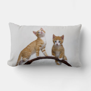 Coussin Rectangle Cute Baby Cats Kittens Funny Gym Photo - Jeter