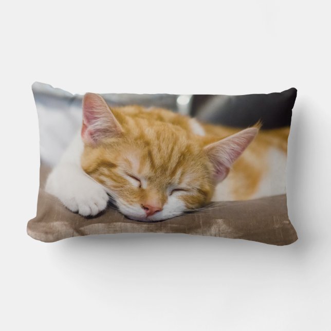 Coussin Rectangle Cute Kitten (Recto)