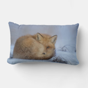 Coussin Rectangle Cute Little Fox Curling Up Winter Photo