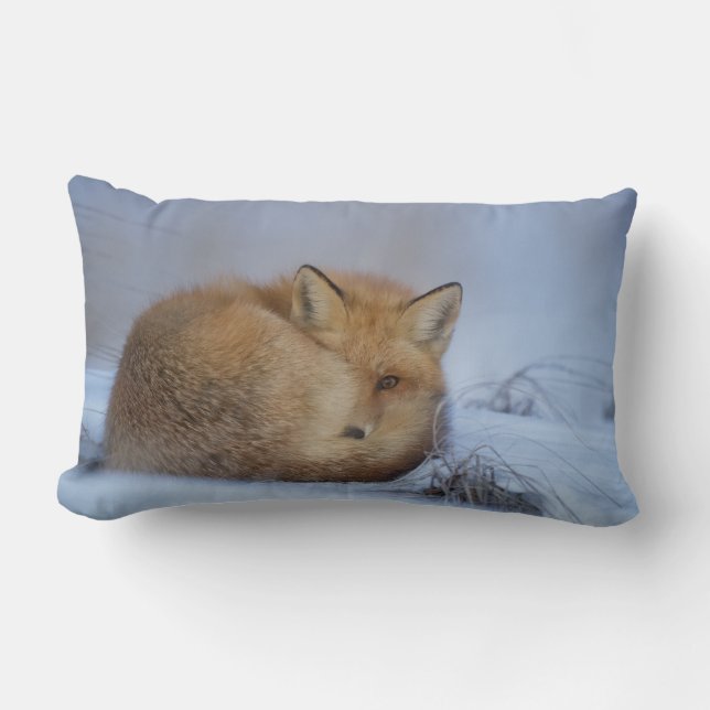 Coussin Rectangle Cute Little Fox Curling Up Winter Photo (Recto)