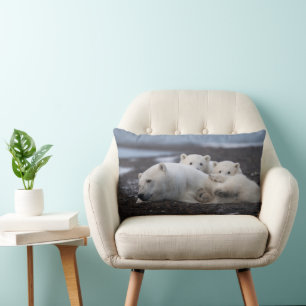 Coussin Rectangle Cutest Baby Animals Polar Bear Family Alaska