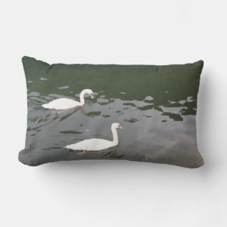 Coussin Rectangle Cygnes blancs sur l'eau - Photographie de nature p