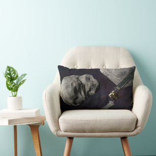 Coussin Rectangle Dart Spacecraft Et Le Liciacube Avant Impact