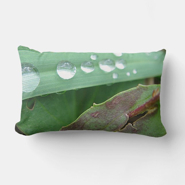 Coussin Rectangle Dekokissen goutte d'eau sur l'herbe (Recto)