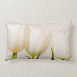 Coussin Rectangle Des tulipes blanches contre un arrière - plan blan