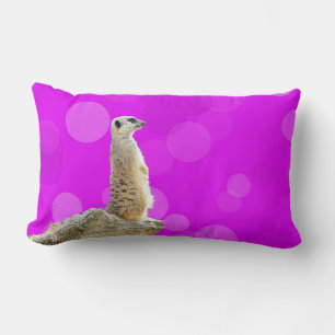 Coussin Rectangle Design Meerkat D'Alerte Rose Et Violet,