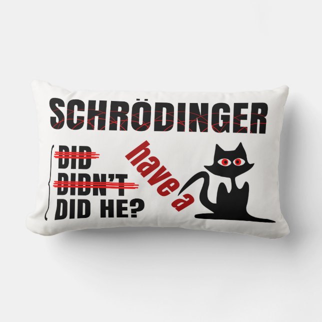 Coussin Rectangle Dillema de Schrodinger (Recto)