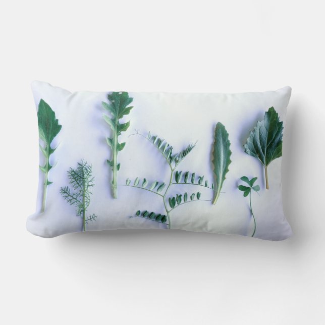 Coussin Rectangle Diverses Formes Vert Feuille Nature (Recto)