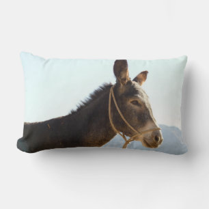 Coussin Rectangle Donkey Mule ferme animal pays Destinée
