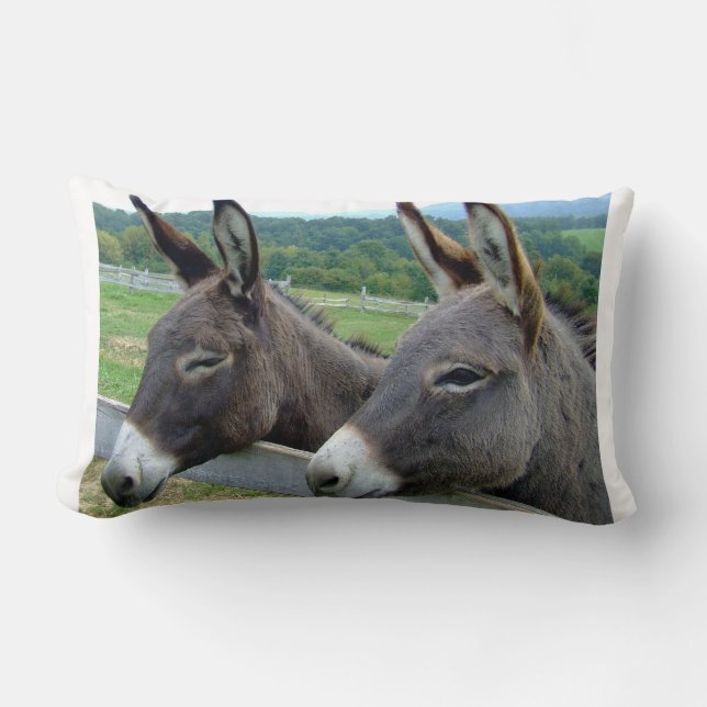 Coussin Rectangle Donkey Mule ferme animal pays Destinée (Recto)