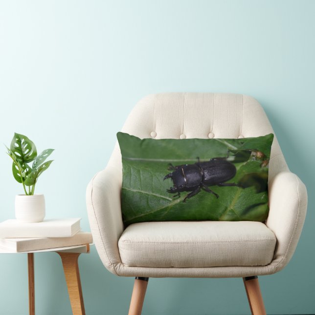 Coussin Rectangle Dorcus parallelipipedus, le moindre dendroctone du (Chaise)