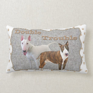 Coussin Rectangle Double problème de bull-terrier