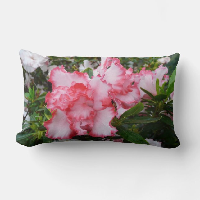Coussin Rectangle Double rouge et blanc Azaleas printemps floral (Recto)