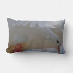 Coussin Rectangle Doves Heart Dance Peace Love Party Destiny Bless