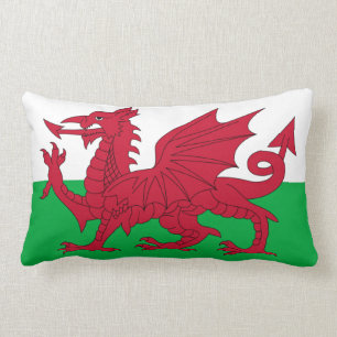 Coussin Rectangle Dragon gallois ~ Drapeau du Pays de Galles