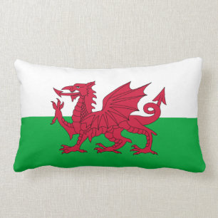 Coussin Rectangle Drapeau de dragon gallois