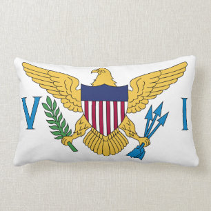 Coussin Rectangle Drapeau des îles Vierges des États-Unis