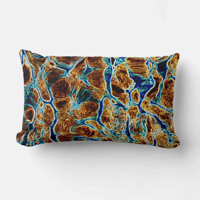COUSSIN RECTANGLE EAU (Recto)