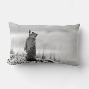 Coussin Rectangle Écureuil