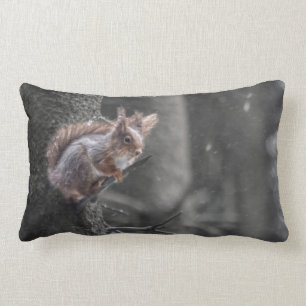 Coussin Rectangle Écureuil dans la neige