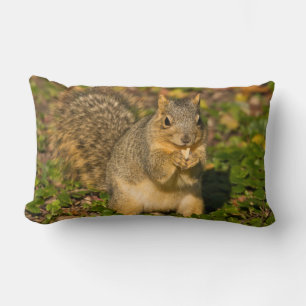 Coussin Rectangle Écureuil gris, mangeant, cacahuète, Crystal Spring