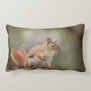 Coussin Rectangle Écureuil rouge