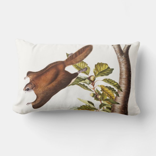 Coussin Rectangle Écureuil volant de l'Oregon (Pteromys Origonensis) (Recto)