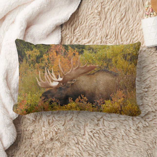 Coussin Rectangle Élan mâle | Parc national de Denali, Alaska (Couverture)