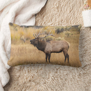 Coussin Rectangle Élan mâle Parc national de Yellowstone