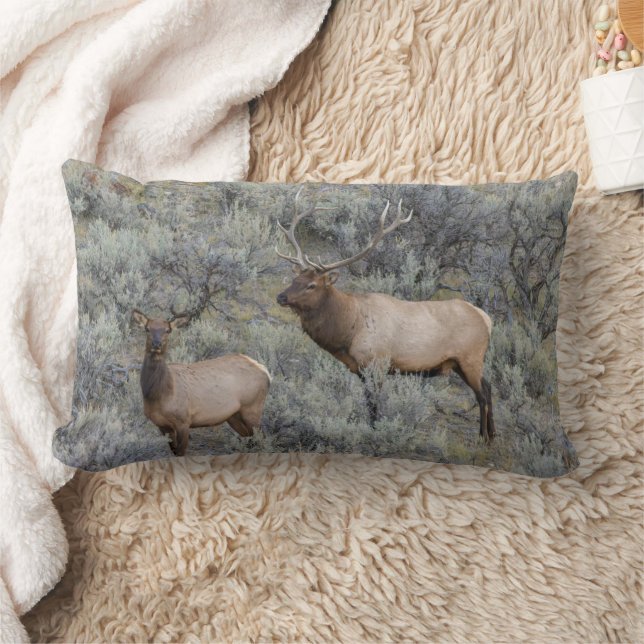 Coussin Rectangle Élan mâle | Parc national de Yellowstone, Wyoming (Couverture)
