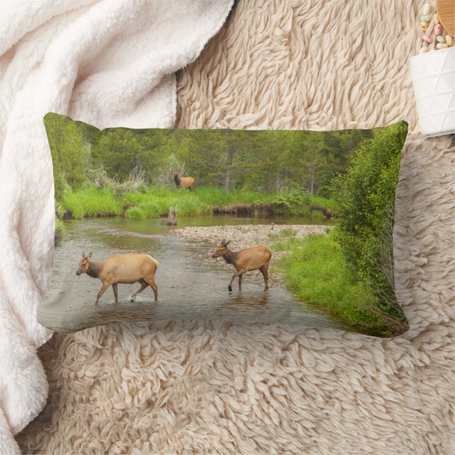 Coussin Rectangle Élans traversant le fleuve Colorado (Couverture)