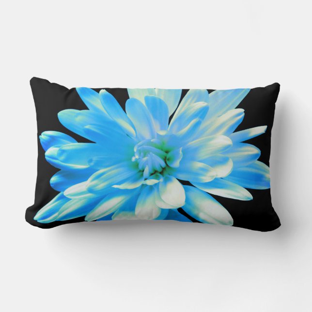 Coussin Rectangle Elégant bleu floral bleu marguerite bleu zinnia (Recto)