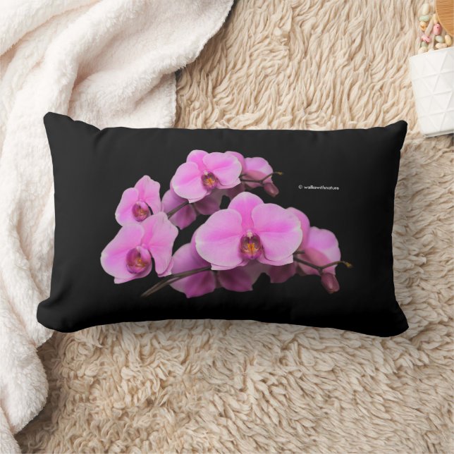 Coussin Rectangle Élégant orchidées roses Phalaenopsis sur noir (Couverture)