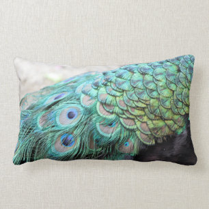 Coussin Rectangle Élégant Peacock Feathers Lumbar Throw