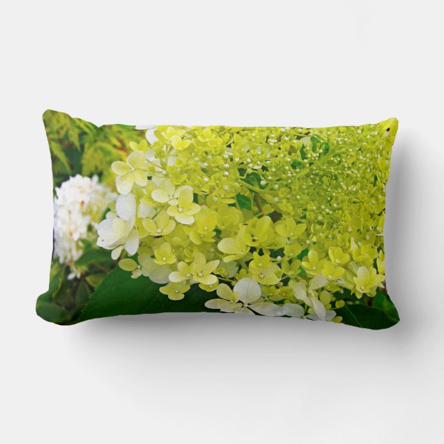 Coussin Rectangle Élégante Chartreuse Vert Limelight Hydrangea (Recto)