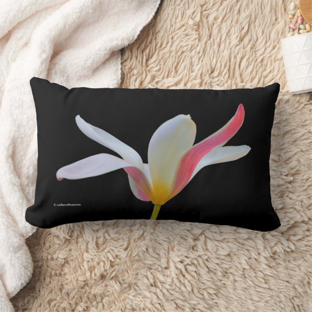 Coussin Rectangle Élégante Lady Tulip Fleurs roses blanches (Couverture)