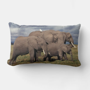 Coussin Rectangle Éléphant d'Afrique bébé avec famille
