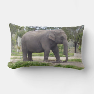 Coussin Rectangle Éléphant dans un bois calme s'étirant