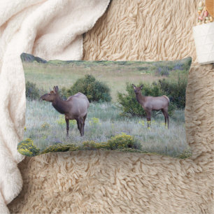 Coussin Rectangle Elk américain   Colorado