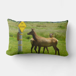 Coussin Rectangle Elk Crossing California Wildlife Photography
