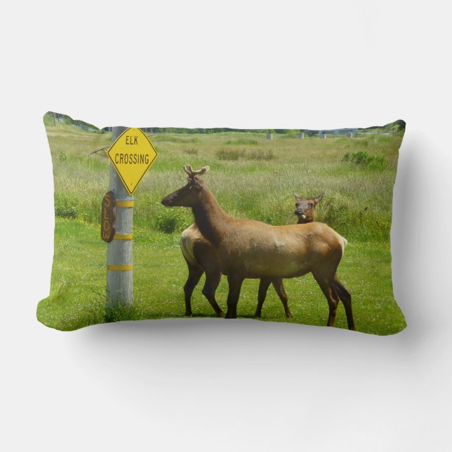 Coussin Rectangle Elk Crossing California Wildlife Photography (Recto)