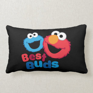 Coussin Rectangle Elmo et Cookie Besties