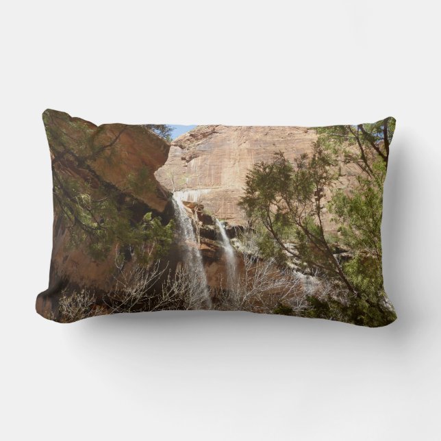 Coussin Rectangle Emerald Pool Falls I du parc national Zion (Recto)