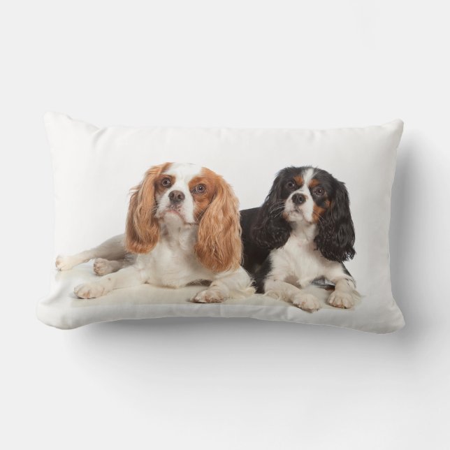Coussin Rectangle Épagneul cavalier du Roi Charles (Recto)