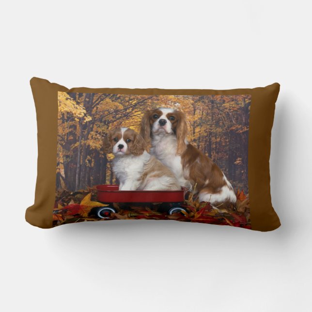 Coussin Rectangle Épagneul cavalier du Roi Charles (Recto)