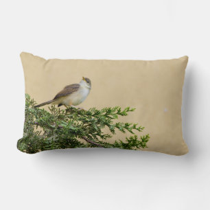 Coussin Rectangle Épervier