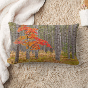 Coussin Rectangle Érable aux couleurs d'automne